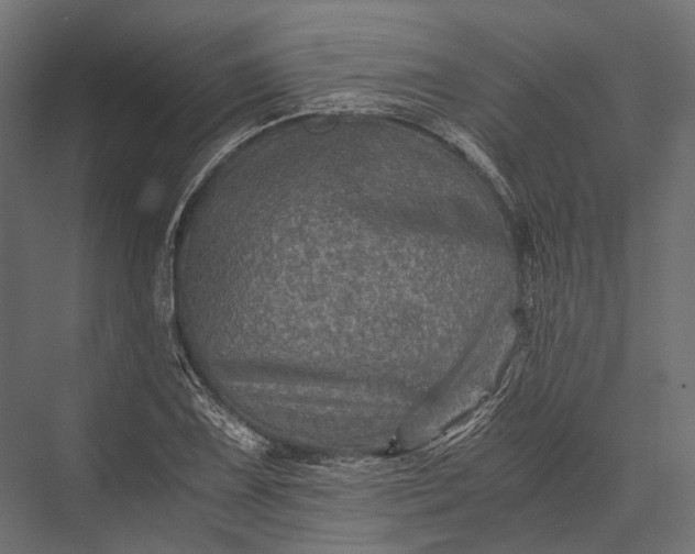 X0000076031075200610061412