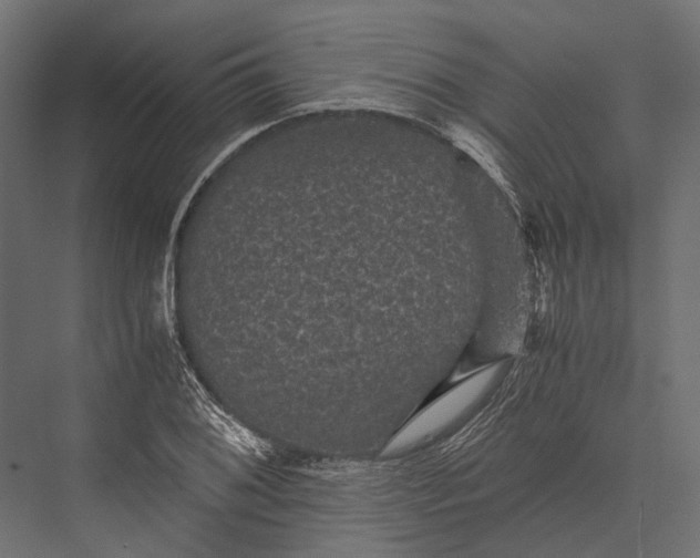 X0000076031076200610061412