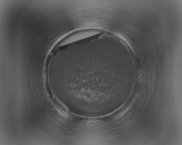 X0000076031077200610061412