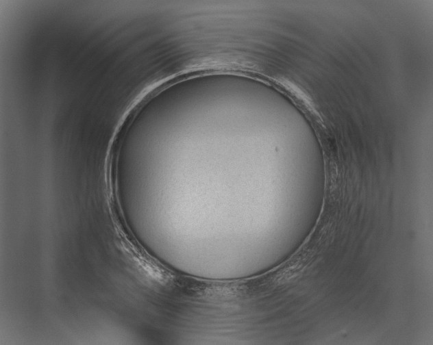 X0000076031078200610061412