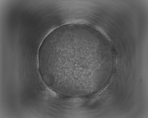 X0000076031079200610061412