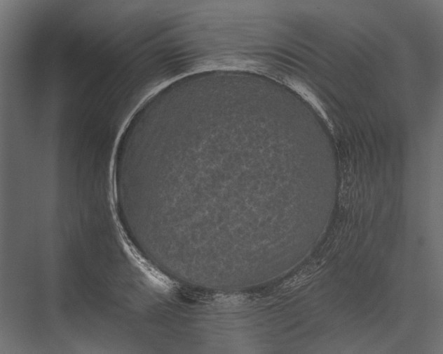 X0000076031080200610061412