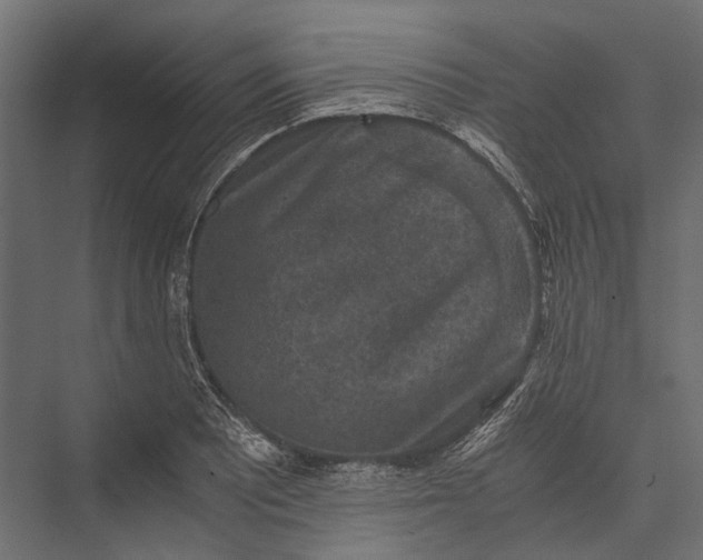 X0000076031081200610061412