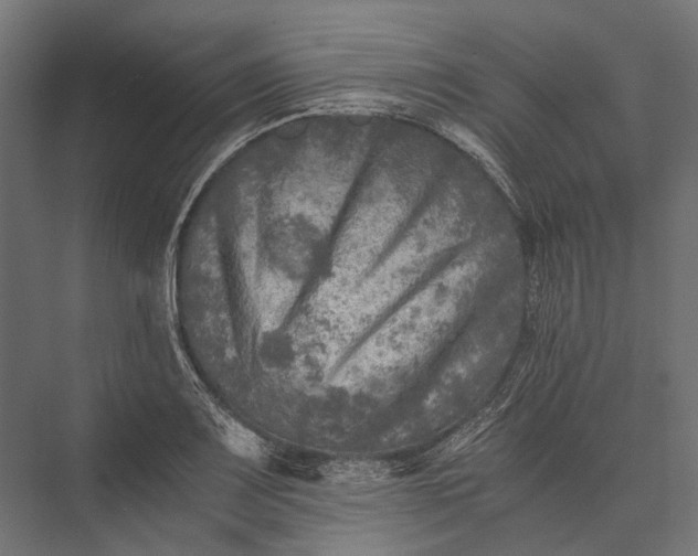 X0000076031083200610061412