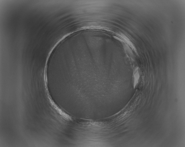 X0000076031084200610061412