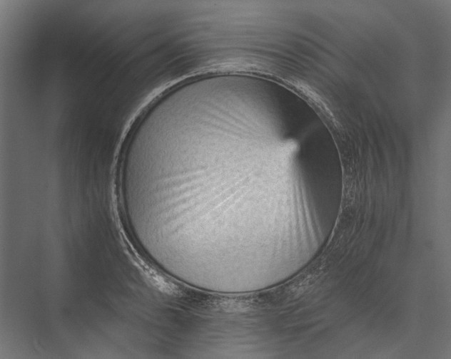 X0000076031086200610061412