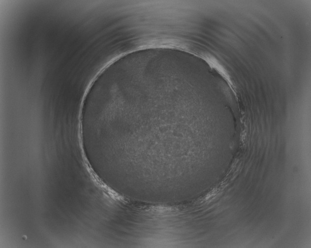 X0000076031088200610061412