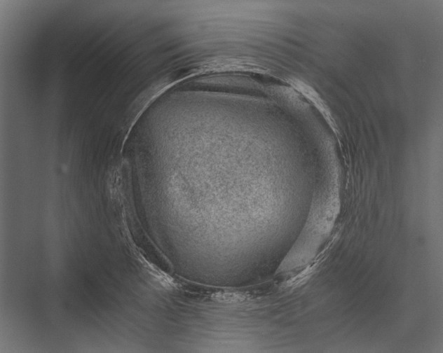 X0000076031089200610061412