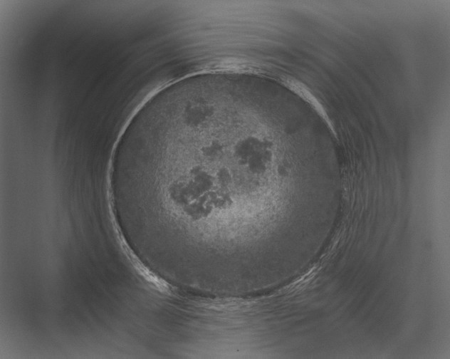 X0000076031091200610061412