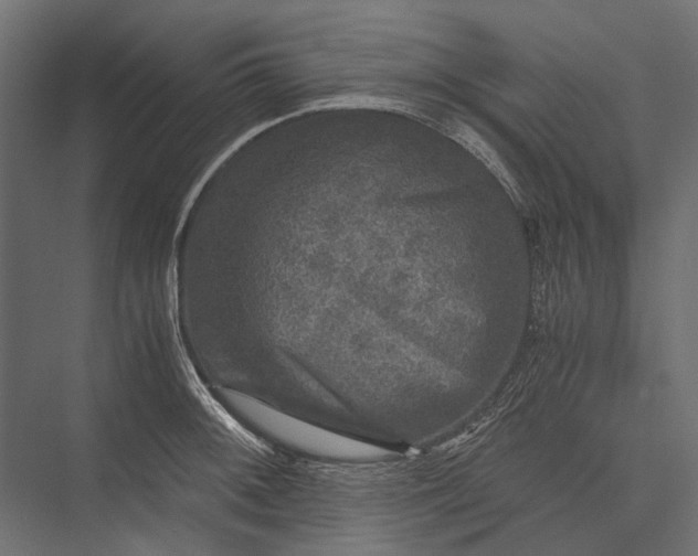 X0000076031092200610061412