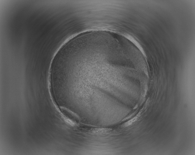 X0000076031093200610061412