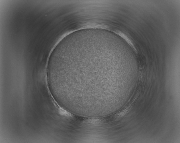 X0000076031094200610061412