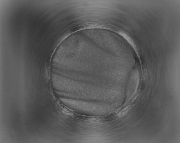 X0000076031097200610061412