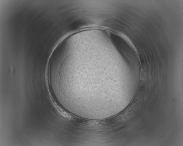 X0000076031098200610061411