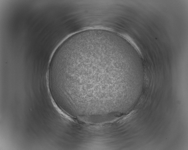 X0000076031100200610061411