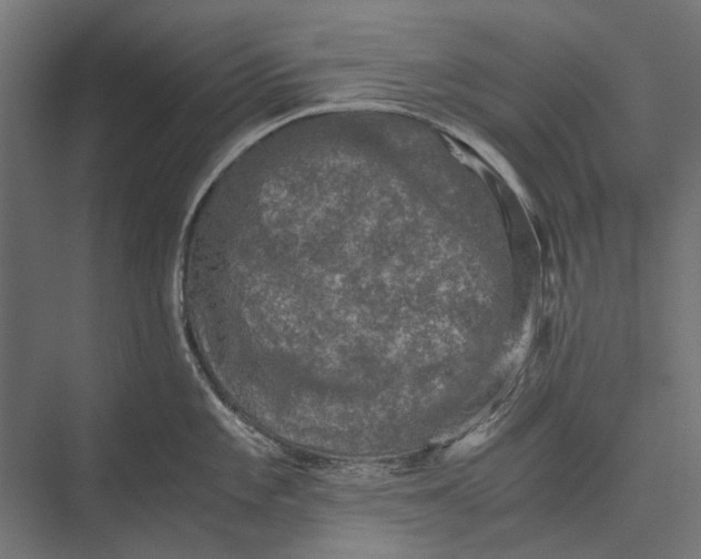 X0000076031101200610061411