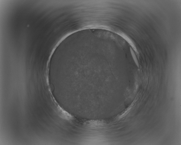 X0000076031102200610061411