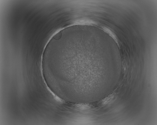 X0000076031103200610061411