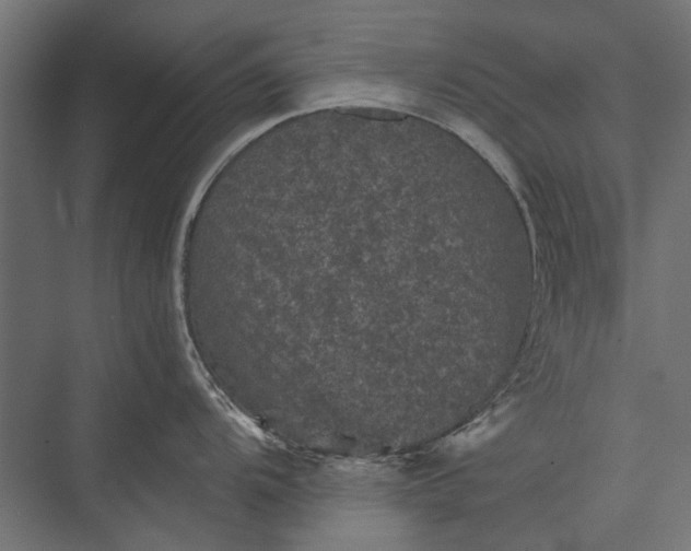 X0000076031104200610061411