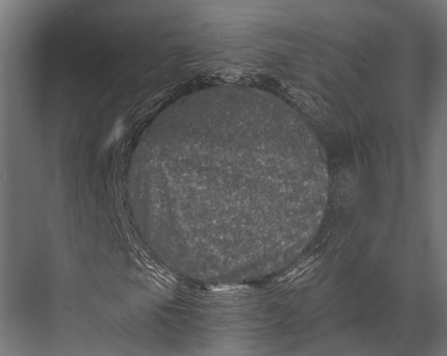 X0000076031105200610061411