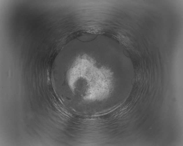 X0000076031106200610061411