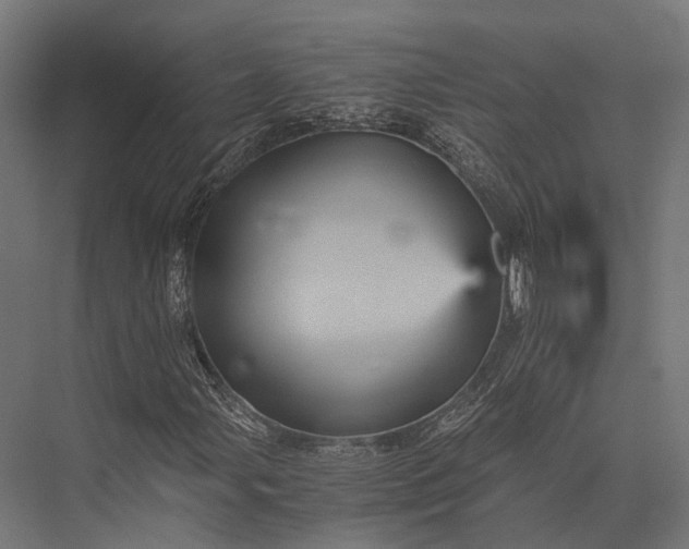 X0000076031107200610061411