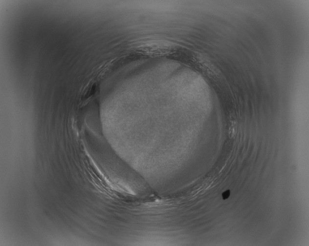 X0000076031108200610061411