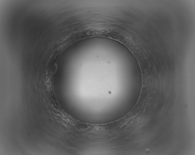 X0000076031109200610061411