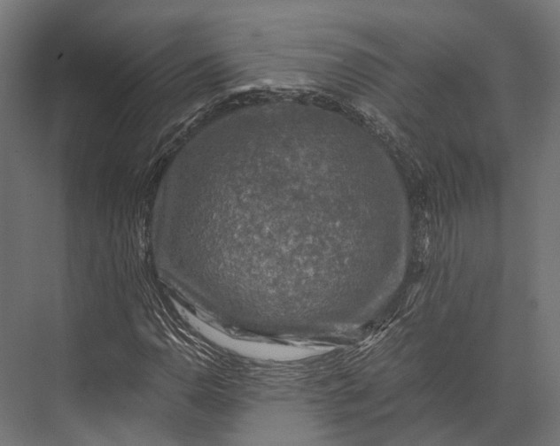 X0000076031110200610061411