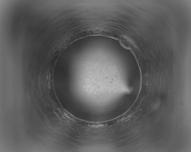 X0000076031111200610061411