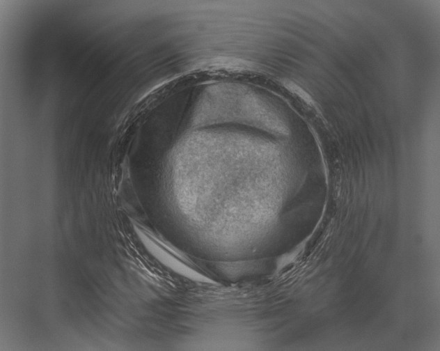 X0000076031112200610061411