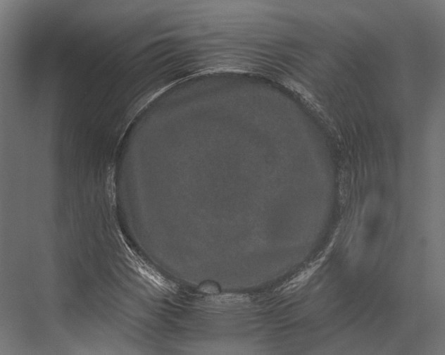 X0000076031113200610061411