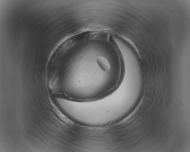 X0000076031114200610061411