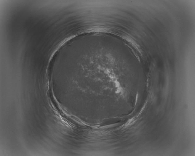 X0000076031117200610061411