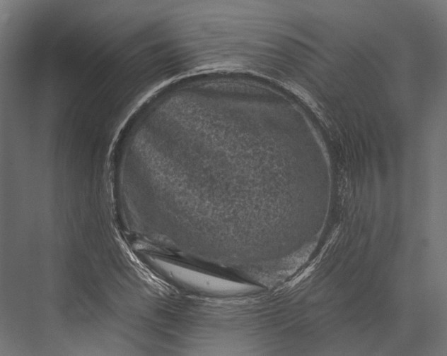 X0000076031118200610061411