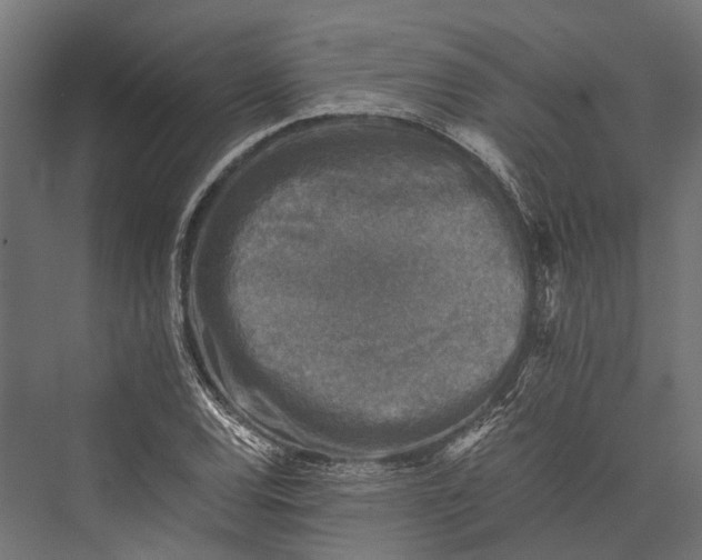 X0000076031120200610061411