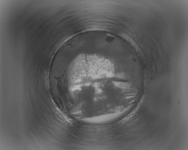 X0000076031121200610061411