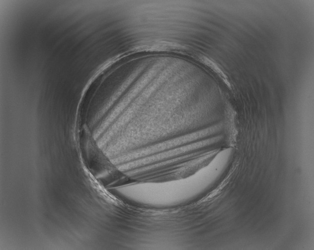 X0000076031122200610061411