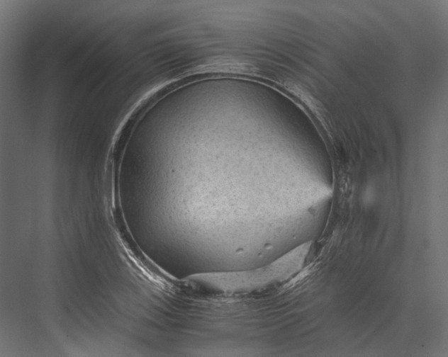 X0000076031123200610061411