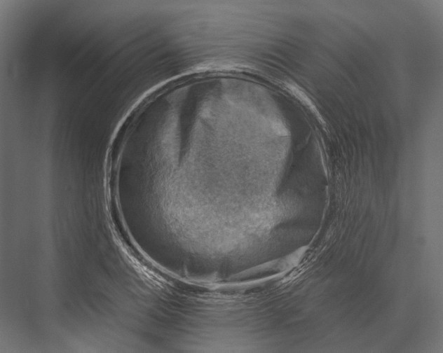 X0000076031124200610061411