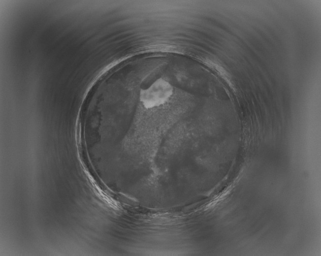 X0000076031125200610061411