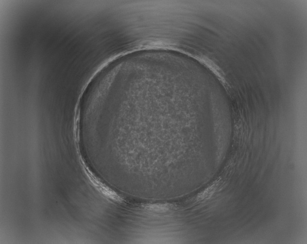 X0000076031126200610061411