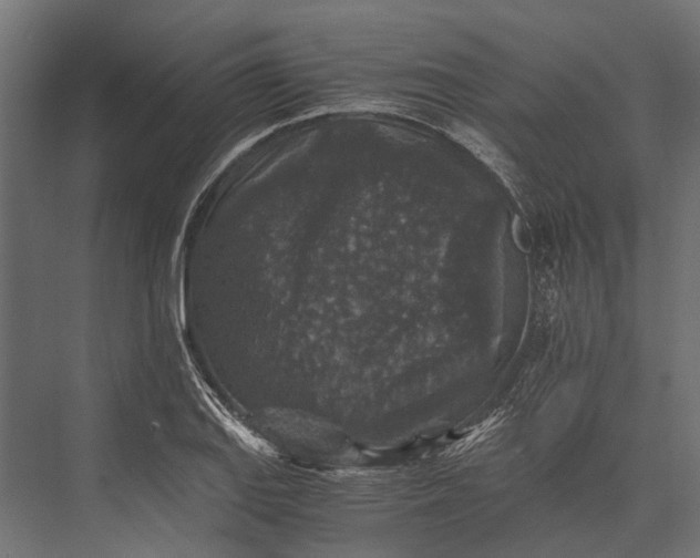 X0000076031127200610061411