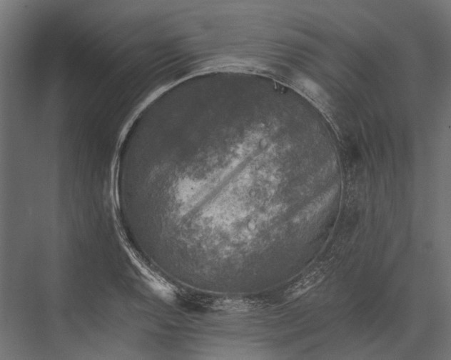 X0000076031128200610061411