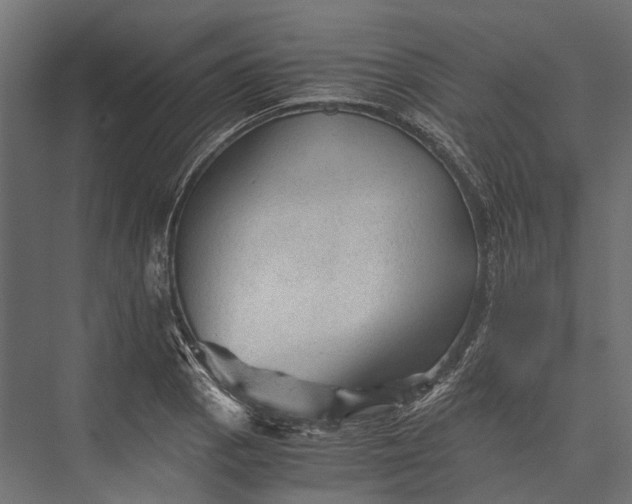 X0000076031129200610061411