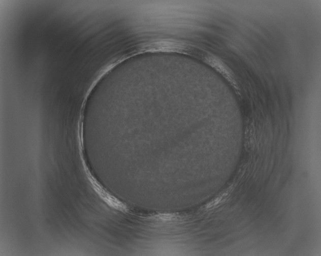 X0000076031130200610061411