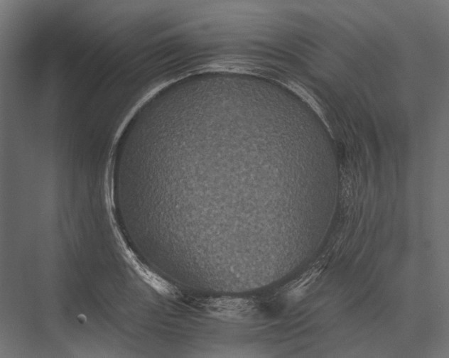 X0000076031131200610061411