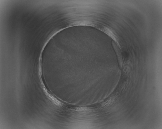 X0000076031132200610061411