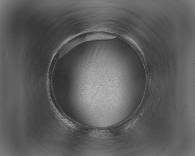 X0000076031133200610061411