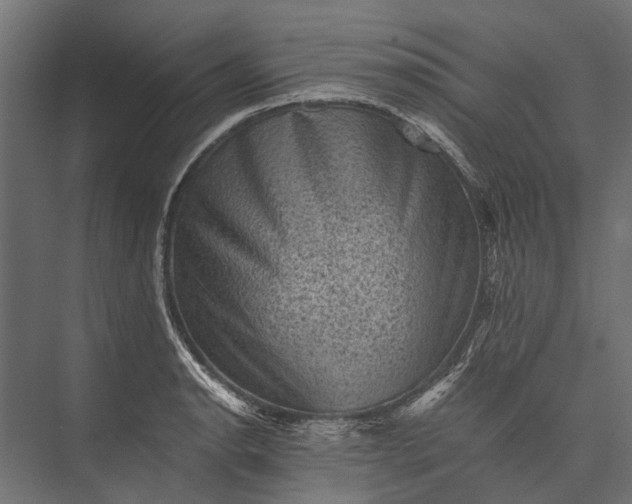 X0000076031134200610061411